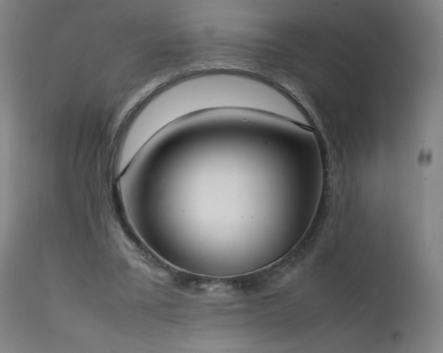 X0000111920395200907271254