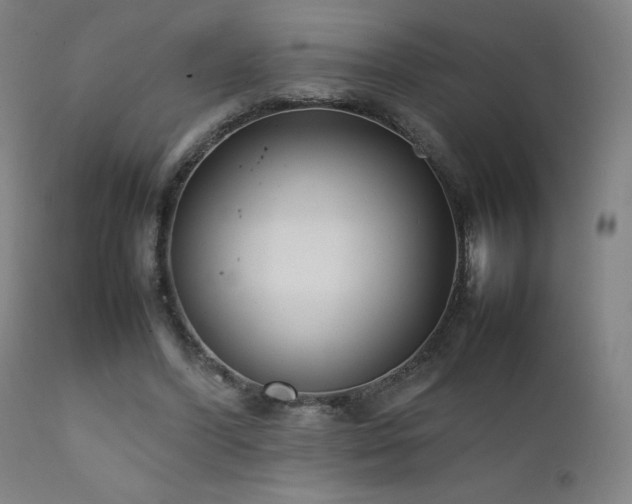 X0000111920396200907271254