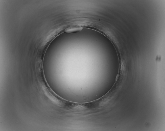 X0000111920397200907271254