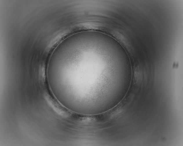 X0000111920398200907271254