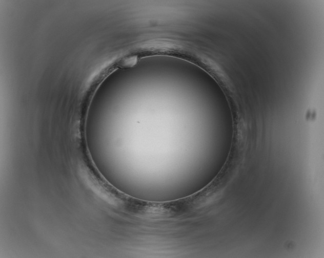 X0000111920399200907271254