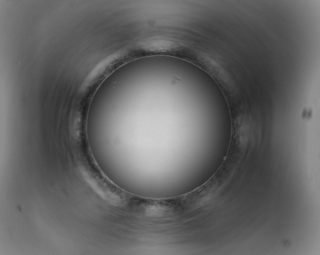 X0000111920400200907271254