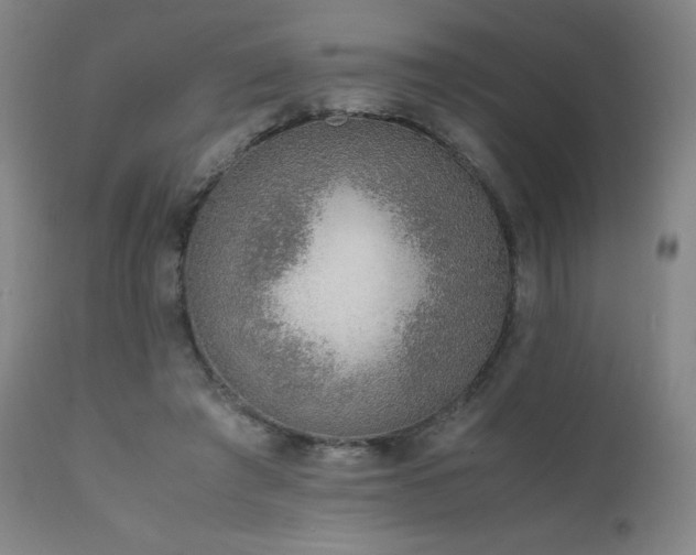 X0000111920401200907271254