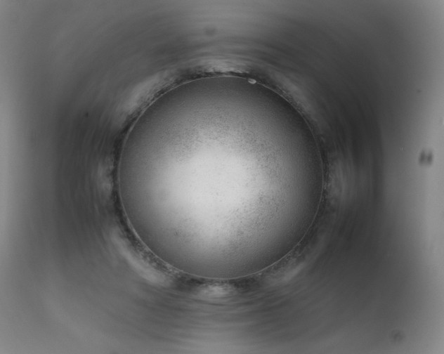 X0000111920402200907271254