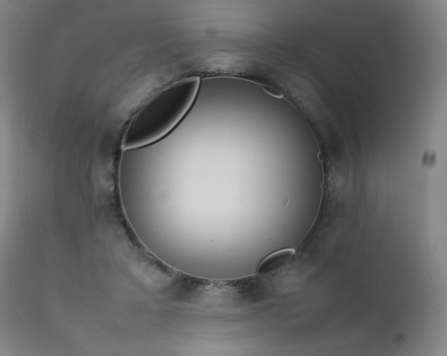 X0000111920403200907271254