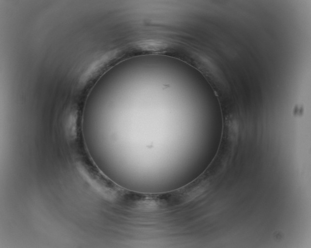 X0000111920404200907271254
