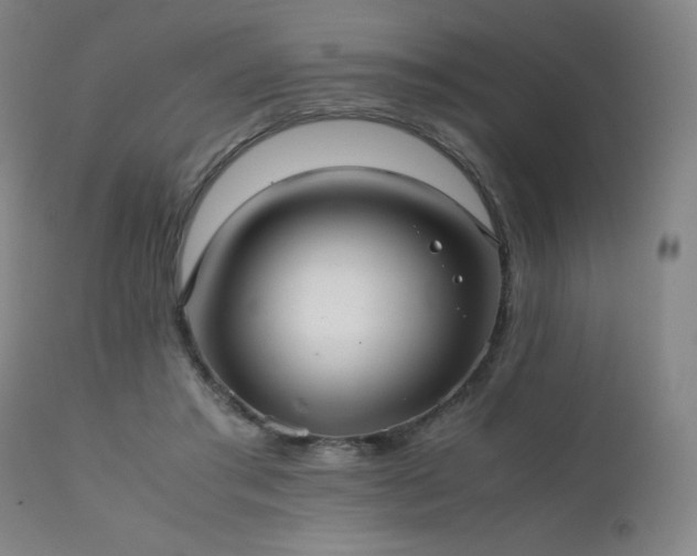 X0000111920405200907271253