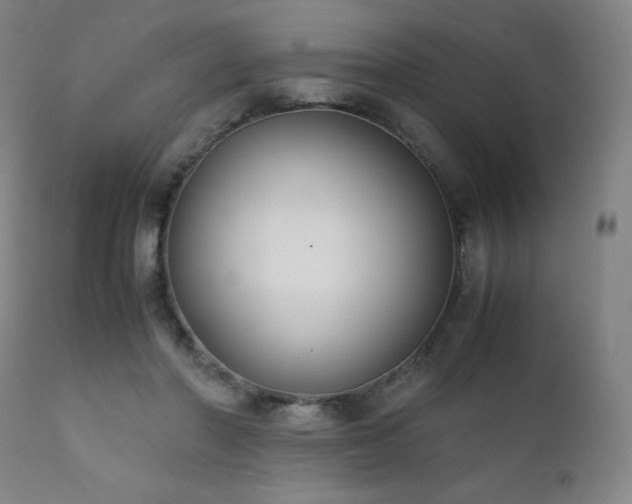 X0000111920406200907271253