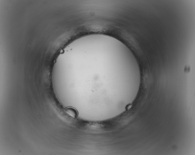 X0000111920407200907271253