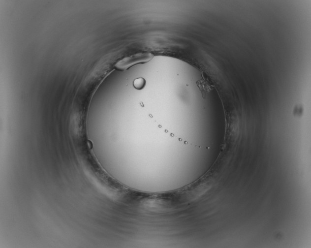 X0000111920408200907271253