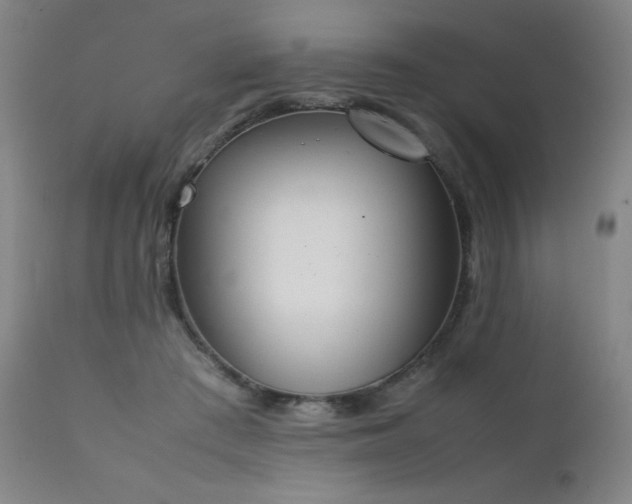 X0000111920409200907271253
