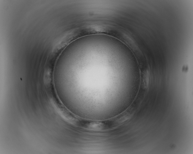 X0000111920410200907271253