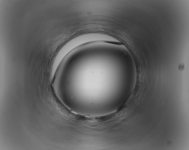 X0000111920411200907271253