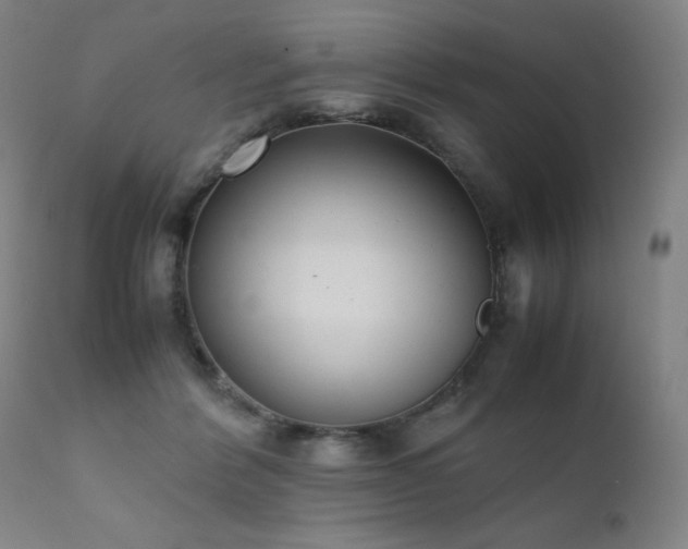 X0000111920412200907271253