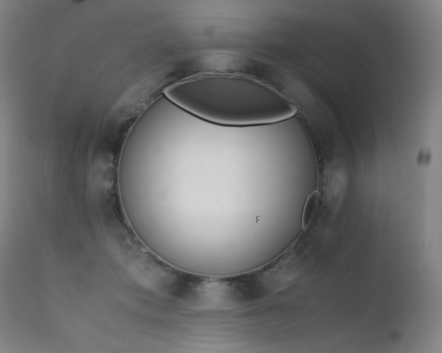 X0000111920413200907271253
