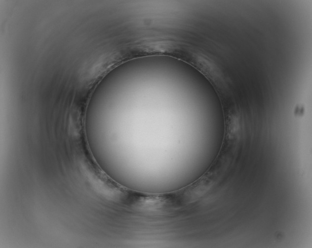 X0000111920414200907271253