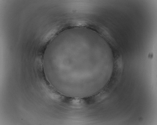X0000111920415200907271253