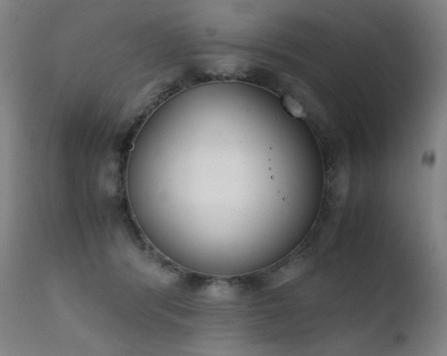 X0000111920416200907271253