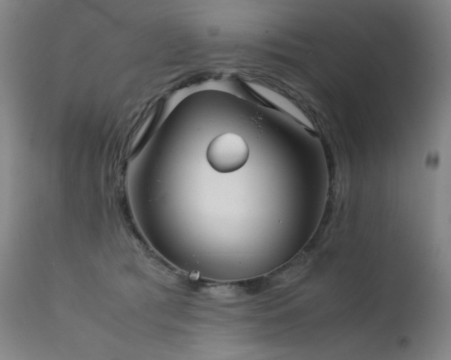 X0000111920417200907271253