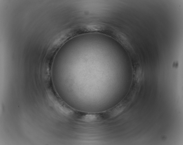 X0000111920418200907271253