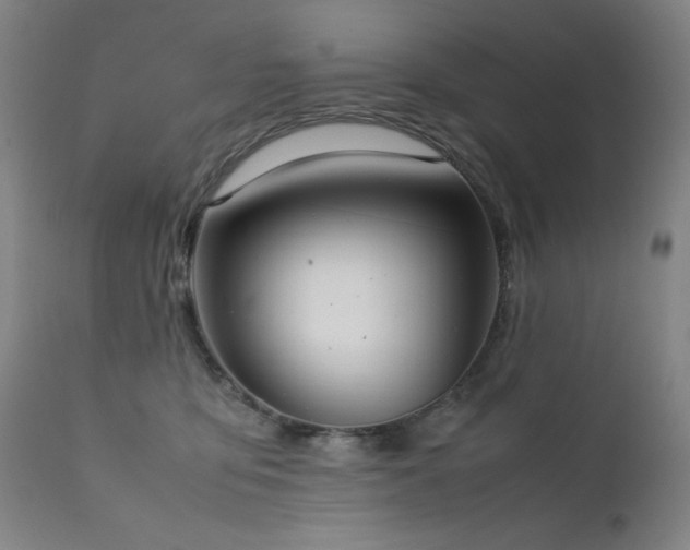 X0000111920419200907271253