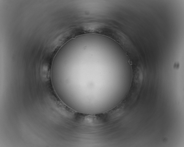 X0000111920420200907271253