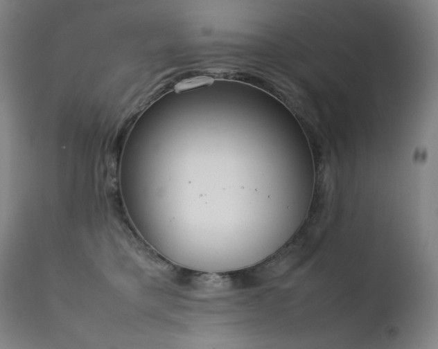 X0000111920421200907271253