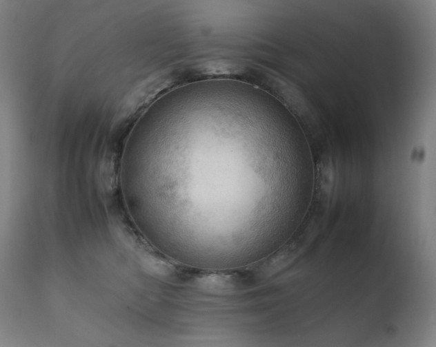 X0000111920422200907271253