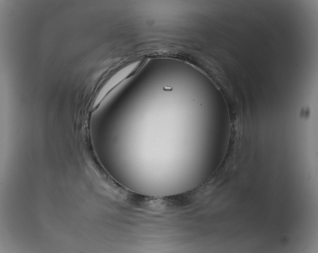 X0000111920423200907271253