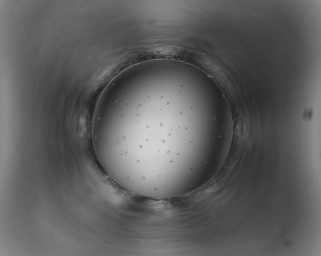 X0000111920424200907271253