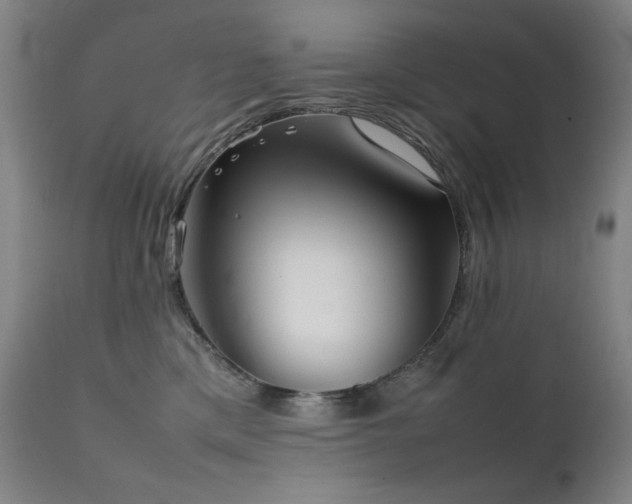 X0000111920425200907271253
