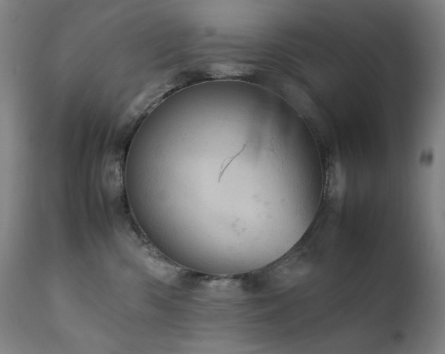 X0000111920426200907271253