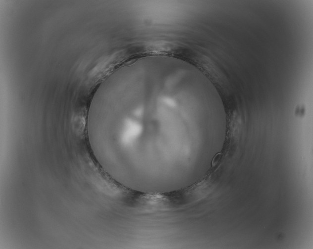 X0000111920427200907271253