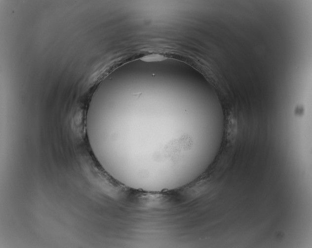 X0000111920428200907271253