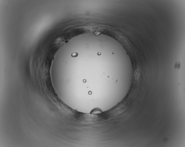 X0000111920429200907271253