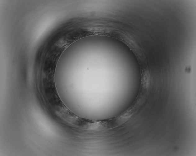 X0000111920430200907271253