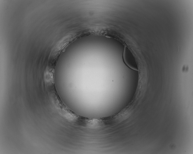 X0000111920432200907271253