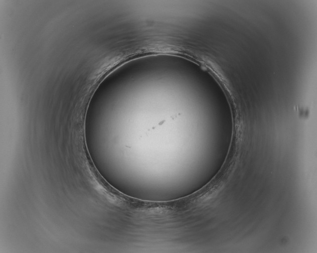 X0000111920433200907271252