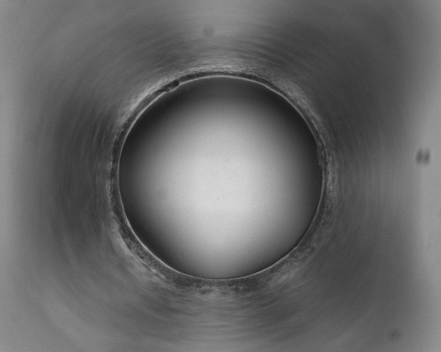 X0000111920434200907271252