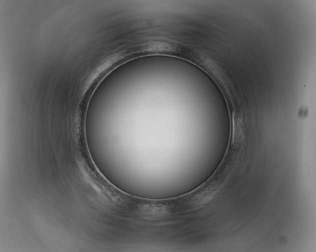X0000111920435200907271252