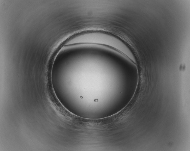 X0000111920436200907271252