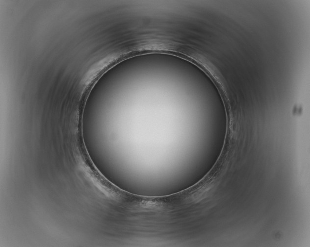 X0000111920437200907271253