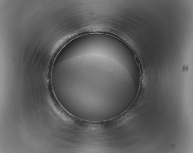 X0000111920438200907271253