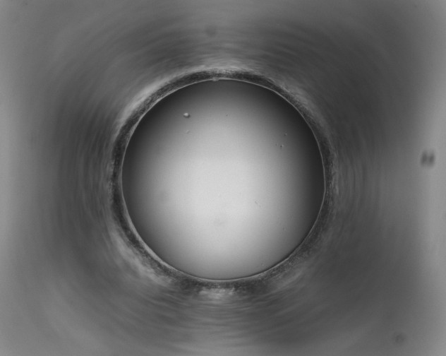 X0000111920440200907271253