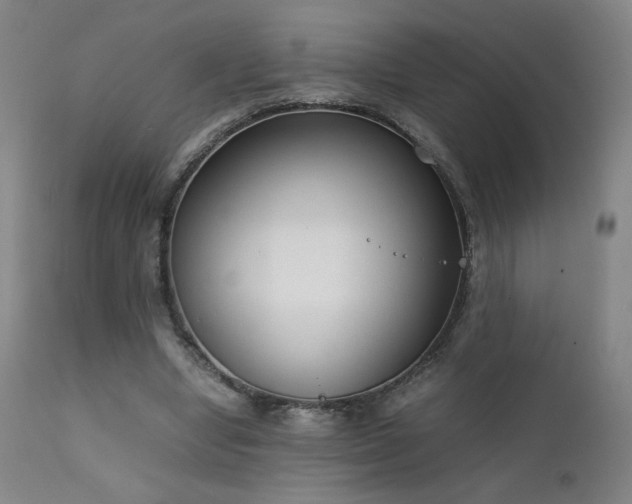 X0000111920442200907271253