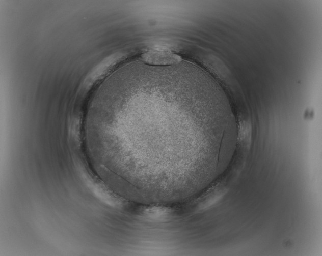 X0000111920444200907271253