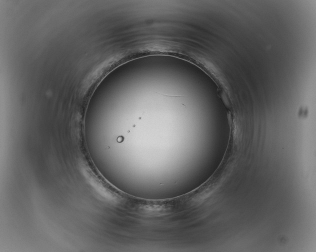 X0000111920445200907271253