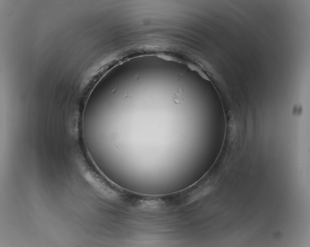 X0000111920446200907271253