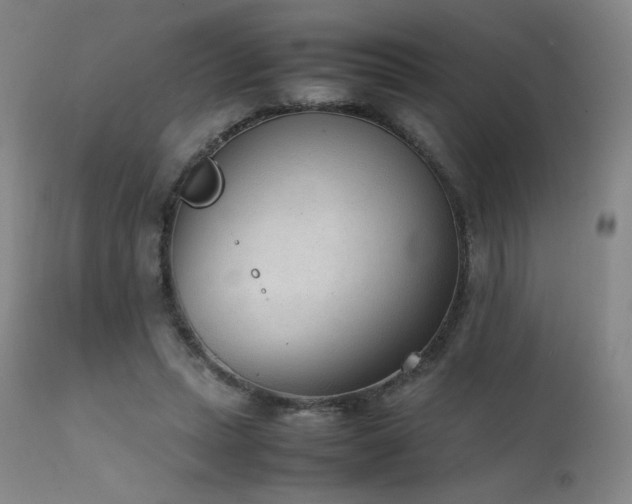 X0000111920447200907271253
