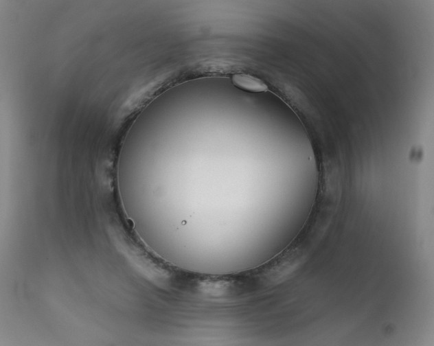 X0000111920450200907271253